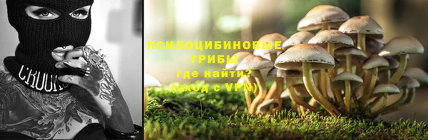 стафф Зеленодольск