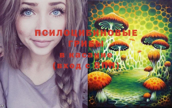 стафф Зеленодольск