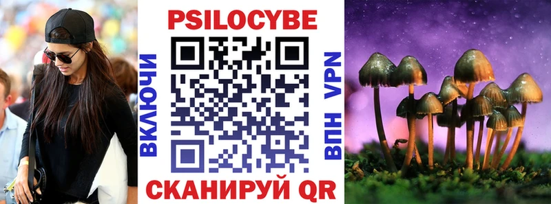 Псилоцибиновые грибы Psilocybe  Купить  Владивосток 